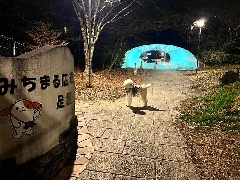 ドッグランまでの道