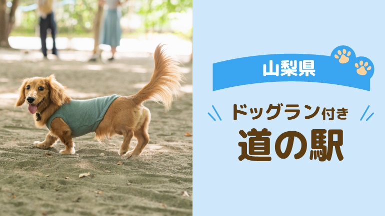 ドッグランがある道の駅5選
