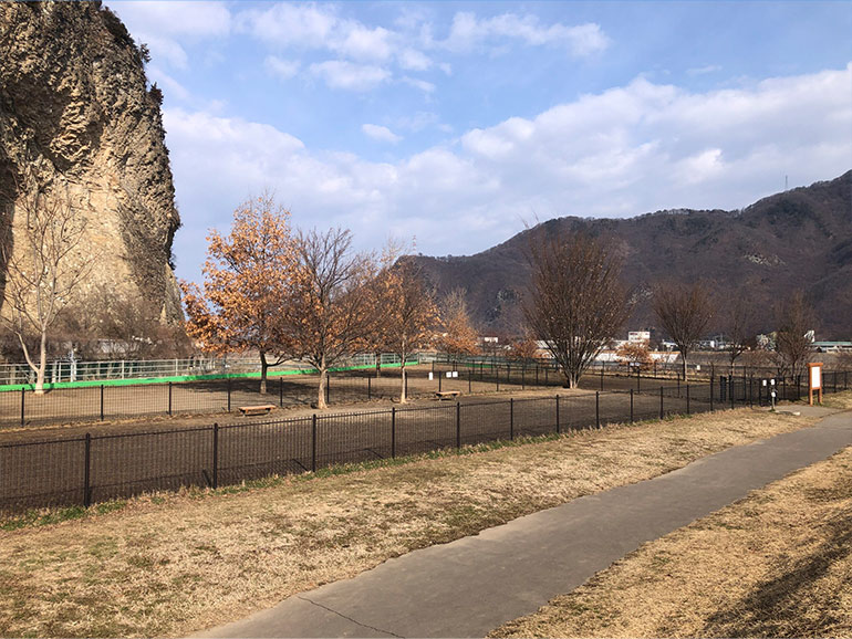 上田 道と川の駅 おとぎの里のドッグラン