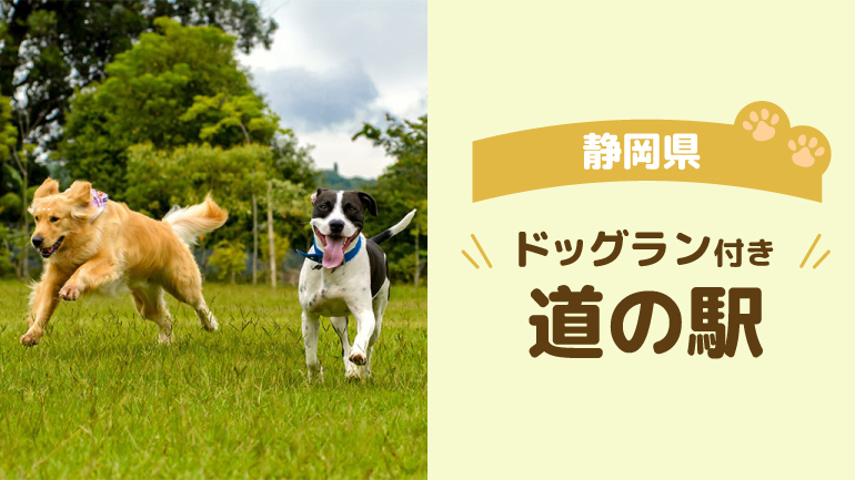 犬連れキャンピングカー旅に最適な道の駅2選