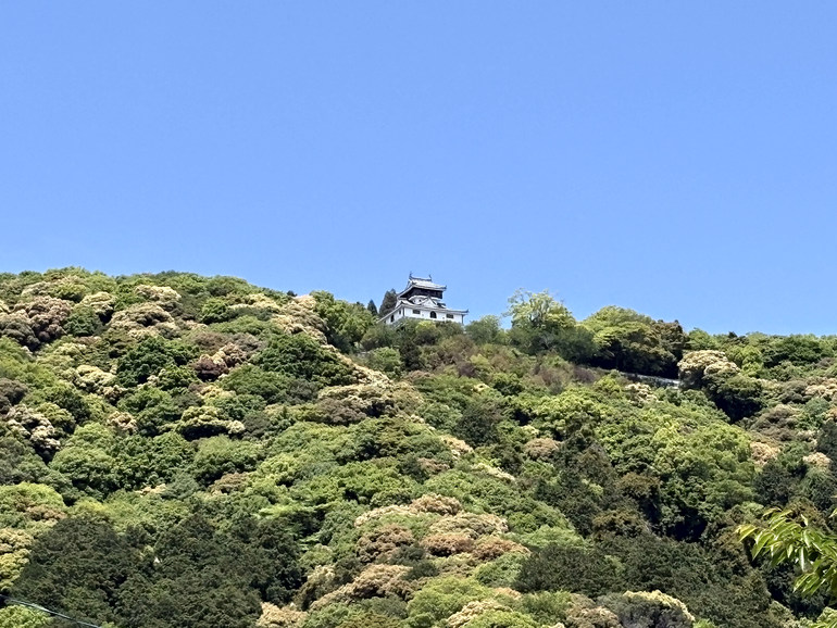 遠くに見える岩国城