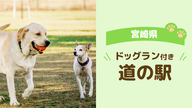 ドッグランのある道の駅3選