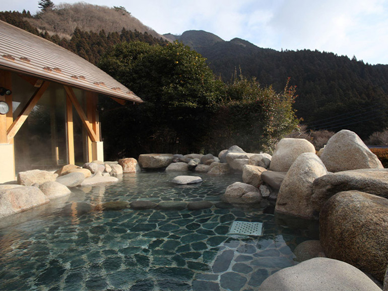 前日光つつじの湯交流館の温泉