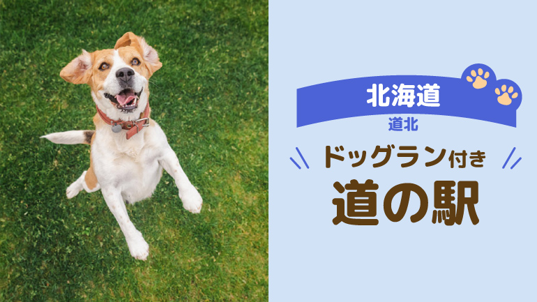 愛犬と行きたい北海道・道北の道の駅8選
