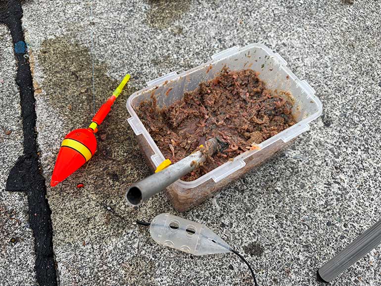 釣りの餌
