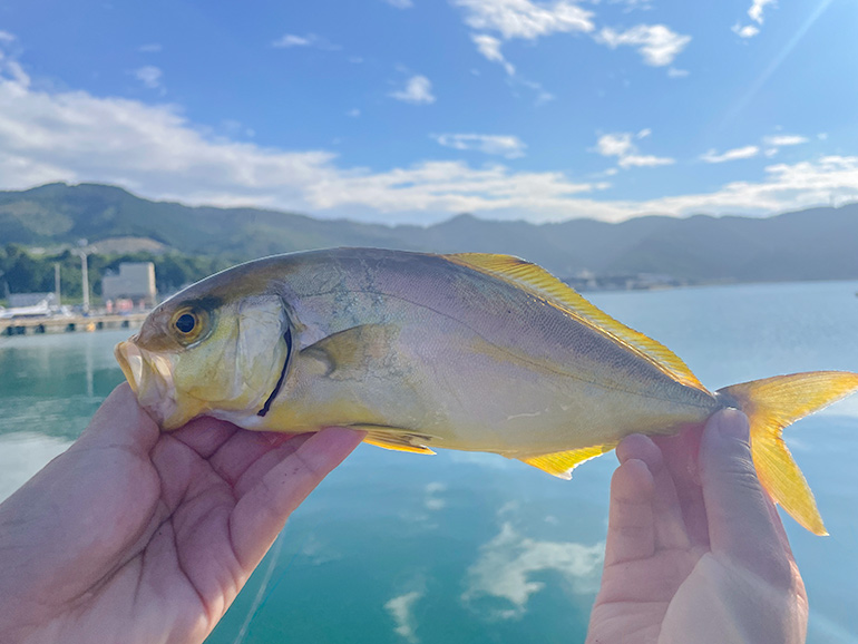 避暑地で釣り