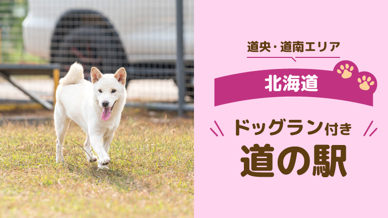 道央・道南で立ち寄りたいドッグラン付き道の駅6選