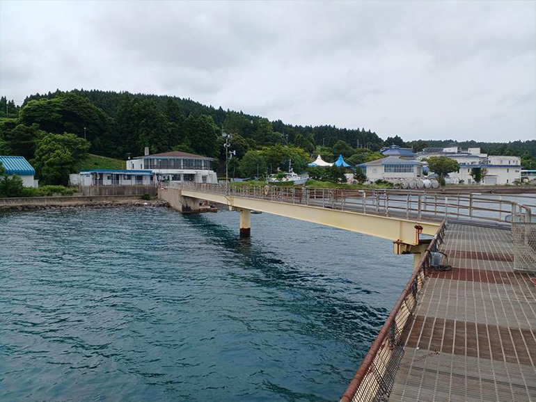 のとじま水族館の釣り場