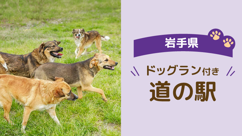 岩手のドッグランがある道の駅2選