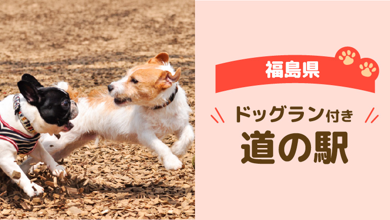 福島県車中泊ができるドッグラン付き道の駅