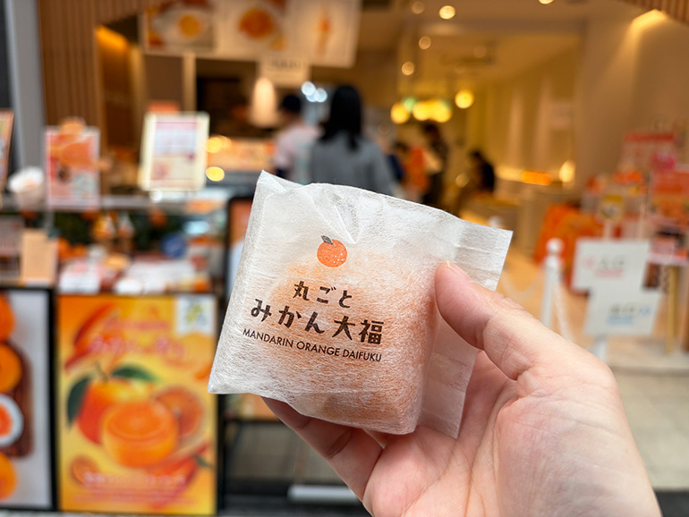 道後ミルクチーズケエキの丸ごとみかん大福