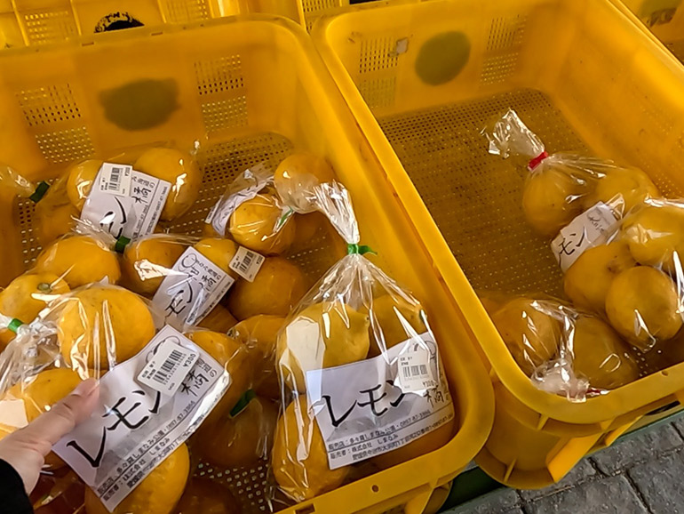 道の駅 多々羅しまなみ公園で販売しているレモン
