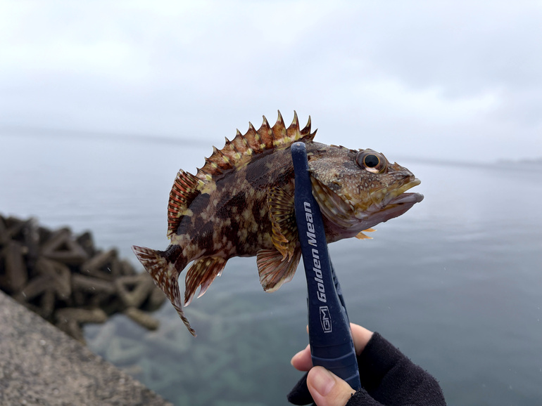 平戸市で釣り