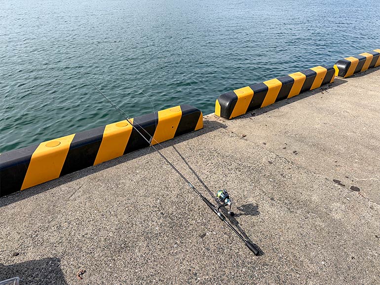 山口県内の漁港で釣り
