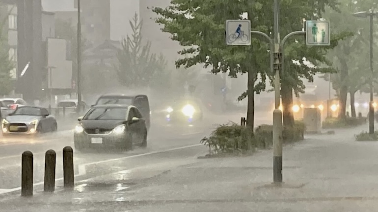 雨