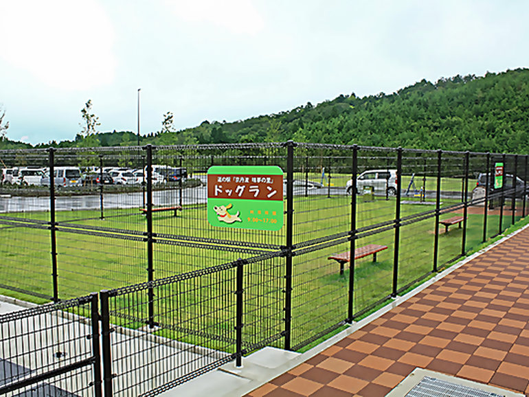 道の駅 京丹波 味夢の里のドッグラン