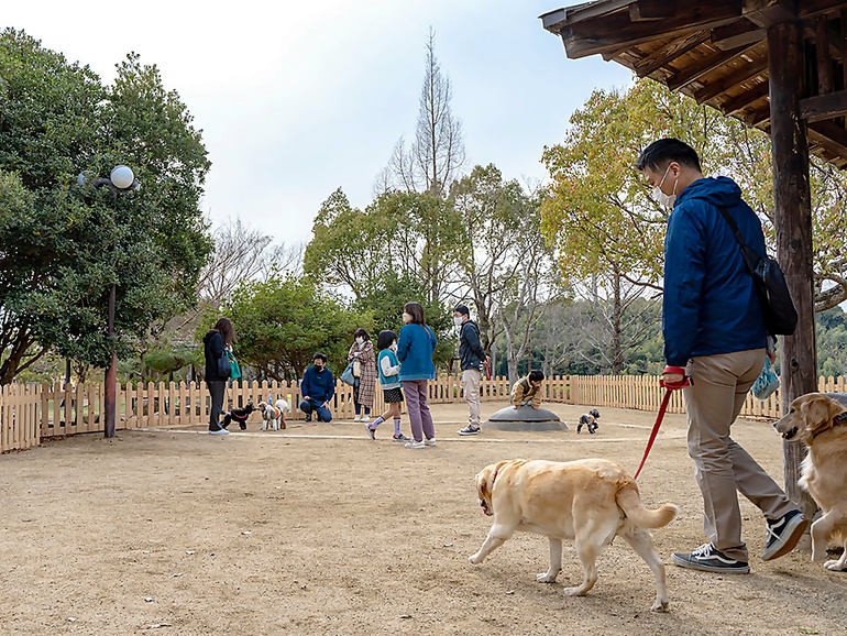 道の駅 四季の郷公園「FOOD HUNTER PARK」のドッグラン