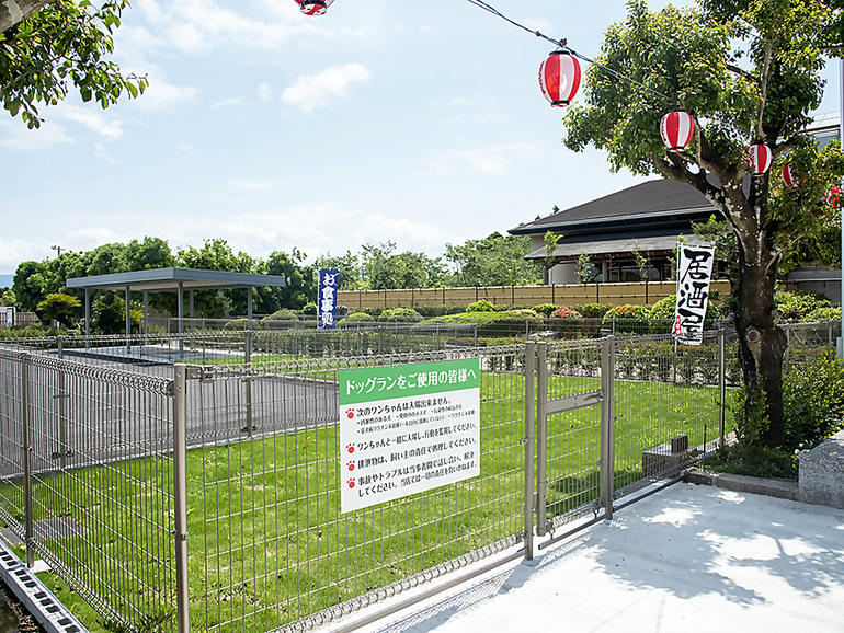 道の駅 くにの松原おおさきのドッグラン