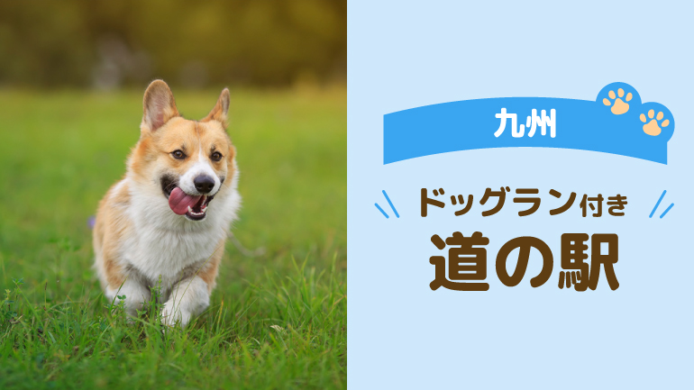 ドッグラン＋絶景・温泉・グルメを楽しむ道の駅6選