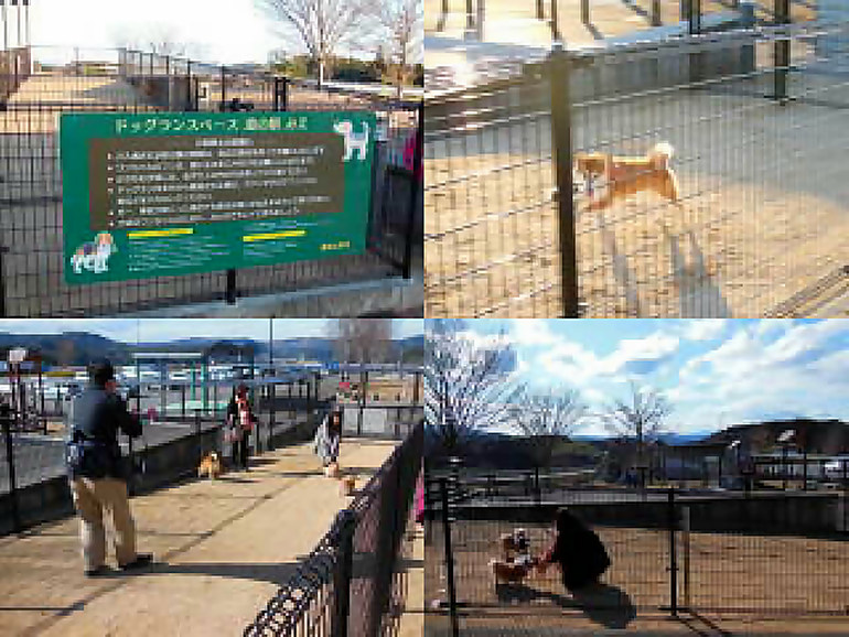 道の駅 みえのドッグラン