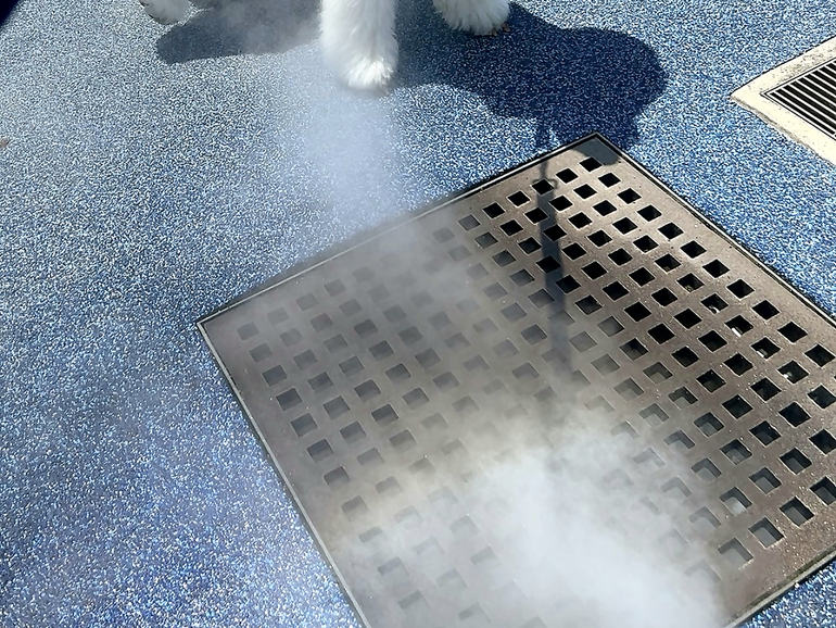 ミスト