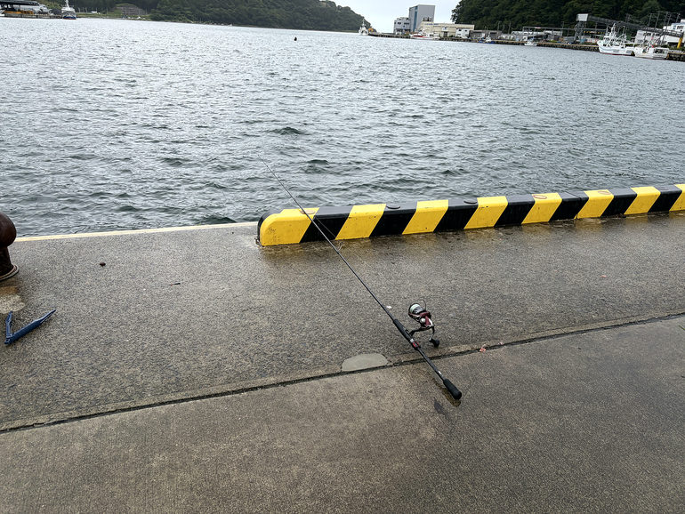 女川の漁港で釣り