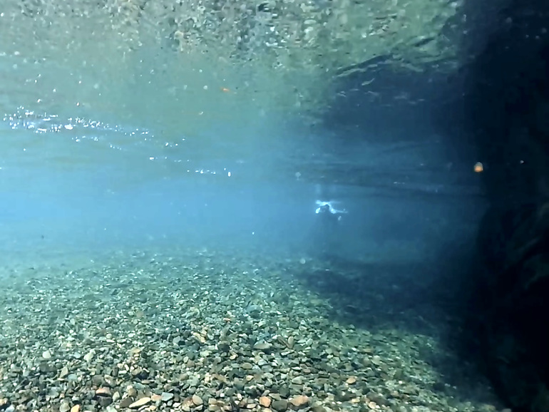 富田川の水の中