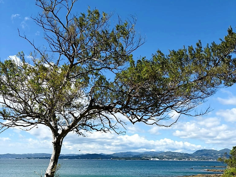 江津良海水浴場の景色