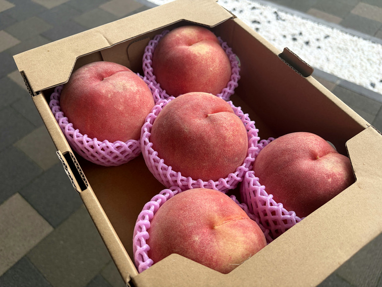 道の駅 ふくしまで販売している桃「川中島白桃」