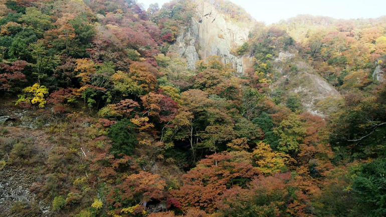 日光東照宮・湯滝・湯葉を楽しむ1日