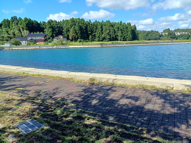 ねやフィッシングパーク太公望の景色